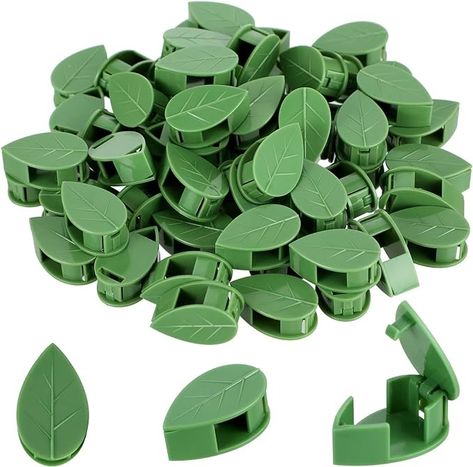 Amazon.com : 60 Pieces Plant Climbing Wall Fixture Clips with 72 Pieces Acrylic Adhesive Sticker Plant Fixer Invisible Wall Vines Fixing Clips Self-Adhesive Hook Plant Vine Traction for Indoor Outdoor Decoration : Patio, Lawn & Garden Wall Vines, Plant Climbing Wall, Climbing Wall, Wall Fixtures, Lawn Garden, Climbing, Vines, Lawn, Indoor Outdoor