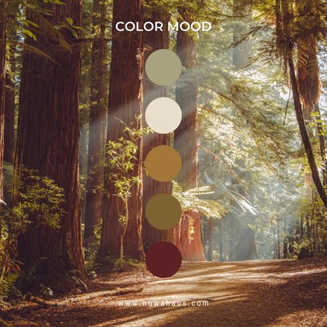 Redwood Color Palette, Deep Forest Color Palette, Forest Witch Color Palette, Fantasy Forest Color Palette, Forest Mood Board, Woodland Color Palette, Forest Color Palette, Sweater Styling, Mandala Project