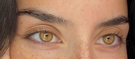 Amber Eyes Color, Pretty Eyes Color, Honey Eyes, Hazel Green Eyes, Eye Color Chart, Beautiful Eyes Color, Amber Eyes, Golden Eyes, Eye Photography