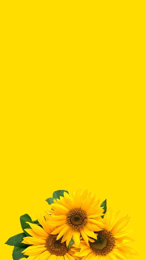 Yellow Aesthetic Wallpaper, Bee Tattoos, Aesthetic Health, Yellow Aesthetic Pastel, Tattoo Health, Coin Photo, Bee Drawing, Graffiti Wallpaper Iphone, Iphone Wallpaper Landscape