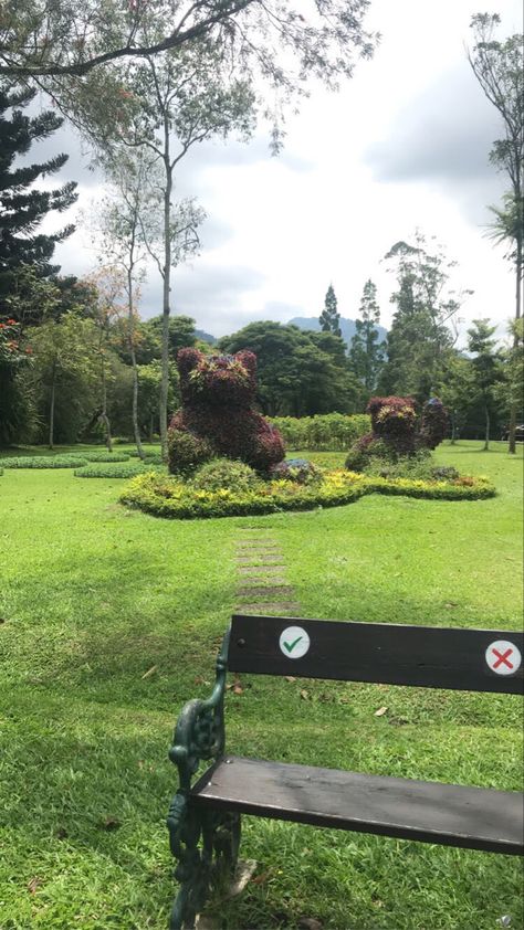 taman bunga ,park ,aesthetic ,wallpaper ,green ,background , ,indonesia , bear flower ,bunga beruang ,taman bunga bogor 📸by :me Taman Aesthetic, Aesthetic Wallpaper Green, Park Aesthetic, Garden Idea, Wallpaper Green, Green Background, Aesthetic Wallpaper, Santorini, Flower Garden