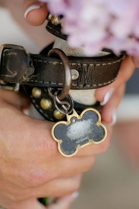 Lost Loved Ones, Cute Dog Collars, Winter Wedding Decorations, Outdoor Fall Wedding, Gone Too Soon, Custom Dog Collars, Wedding Pets, Puppy Collars, Too Soon