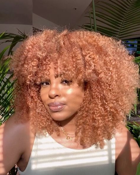 Tiere on Instagram: “It’s giving Strawberry blonde vibes, what y’all think? @qfutrellhair has done it again!! ✨” Strawberry Blonde On Natural Hair, Strawberry Blonde 4c Natural Hair, Strawberry Blonde Curly Hair Black Women, Strawberry Blonde Locs Black Women, Strawberry Blonde Hair Color Black Women, Peach Hair Color On Black Women, Strawberry Blonde Black Women, Strawberry Blonde Natural Hair, Colored Natural Hair For Black Women