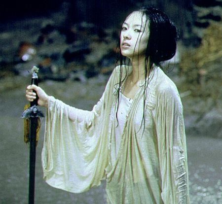 Tigre Y Dragon, Ziyi Zhang, Crouching Tiger Hidden Dragon, Blaxploitation Film, Hidden Dragon, Crouching Tiger, Luc Besson, Ang Lee, Memoirs Of A Geisha