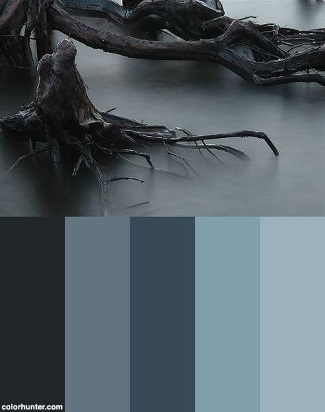 Creepy Misty Roots Color Scheme from colorhunter.com Decay Color Palette, Blue Goth Color Palette, Foggy Color Palette, Evil Colour Palette, Graveyard Color Palette, Gothic Color Pallete, Victorian Gothic Color Palette, Corpse Bride Color Palette, Ghost Color Palette