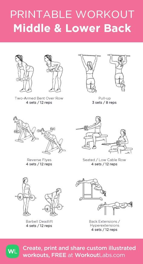 Gym Workout Plan, Back And Shoulder Workout, Workout Labs, Fitness Studio Training, Workout Gym Routine, Printable Workout, Gym Workout Plan For Women, Arm Workout Women, Gym Antrenmanları