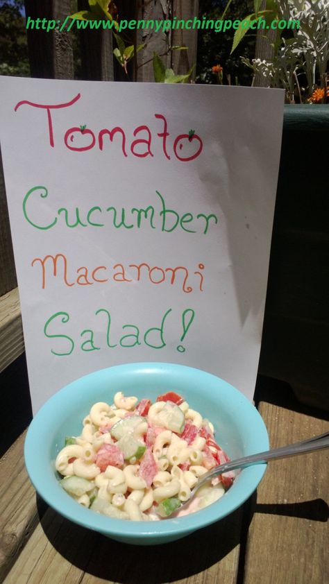 Want a quick & healthy dish for a summer lunch? Try my Tomato Cucumber Macaroni Salad! It’s super simple, and a hit any time I make it. I made it the night before while I was making baked… Macaroni Salad With Tomato And Cucumber, Macaroni Salad With Cucumber, Macaroni Cucumber Salad, Shrimp Macaroni Salad, Macaroni And Tomatoes, Cucumber Pasta, Macaroni Pasta Salad, Cucumber Pasta Salad, Tuna Macaroni Salad