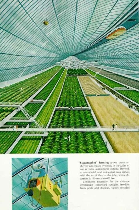 Smart Farm, Space Colony, 70s Sci Fi Art, Vertical Farming, Eco Architecture, Future Farms, Green City, Space City, Futuristic City