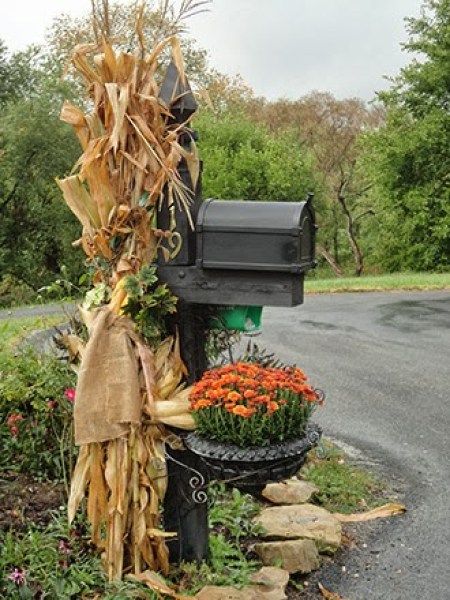 Anticipating Autumn Fall Mailbox, Fall Yard Decor, Outdoor Fall Decor Ideas, Outdoor Fall Decor, Fall Gardening, Corn Stalks, Mailbox Decor, Fall Decor Ideas, Gardening Books