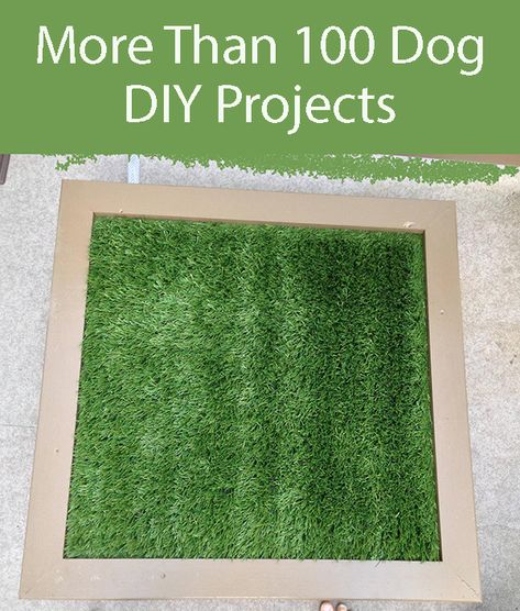 An Easy to Make Porch Potty. Ideal for that last thing at night potty for your dog. #DIYPorchPotty #DogHygeine Porch Potty, Labrador Training, Homemade Dog Toys, Puppy Training Schedule, Dogs Diy Projects, Dog Crate Cover, Dogs Toys, House Training Puppies, Training Puppies