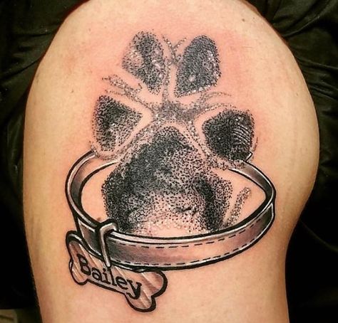 50+ Best Dog Memorial Tattoo Ideas | Page 4 of 12 | The Paws Dog Memorial Tattoo, Nose Tattoo, Collar Tattoo, Memorial Tattoo Ideas, Pet Memorial Tattoo, Memorial Tattoo Designs, Small Dog Tattoos, Dog Memorial Tattoos, Pawprint Tattoo