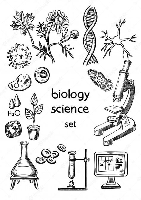 Biology Drawing Ideas, Biology Drawing, Science Drawing, Biological Science, Human Body Activities, Brush Lettering Practice, Writing Paper Template, Biology Projects, Doodle Art For Beginners