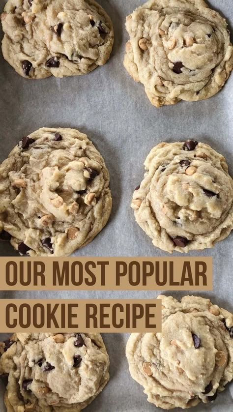 Chocolate Peanut Butter Chip Cookies, Best Cookie Recipe Ever, Peanut Butter Chip Cookies, Dark Chocolate Peanut Butter, Popular Cookies, Dog Biscuit, Peanut Butter Chocolate Chip Cookies, Dessert Dips, Chip Cookie Recipe