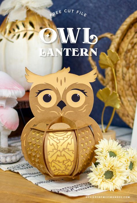 FREE Fall Owl Lantern - Designs By Miss Mandee. 3D, autumn, birds, Cricut, cut file, fall, Fall Owl Lantern, free, freebie, lantern, luminary, owl, Owls, paper lantern, Paper Lanterns, svg, Thanksgiving. Baby Holiday Card, Silhouette Cameo Freebies, Autumn Birds, Owl Lantern, Holiday Door Hanger, Lantern Crafts, Lantern Paper, Cricut Paper Crafts, Fall Owl