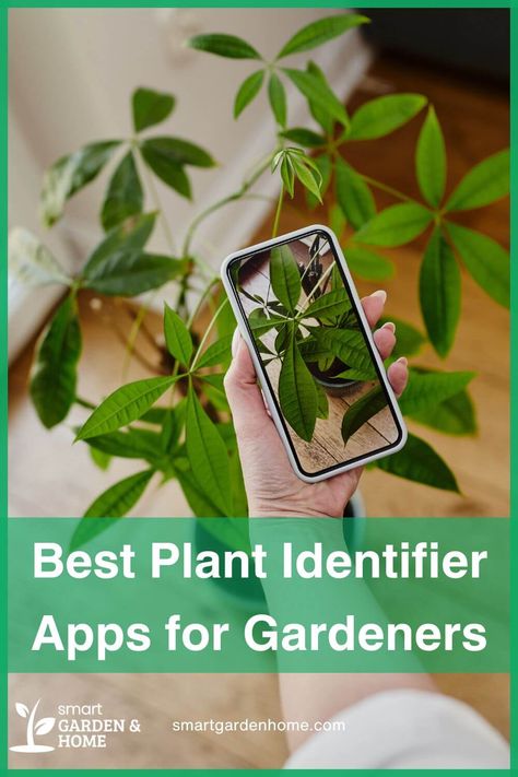 Calling all gardeners!

These plant identification apps are here to make your gardening journey easier and more enjoyable.

From free options to premium features, find your perfect match now! Plant Identifier App Free, Plant Identification App, Helpful Apps, Composting Methods, Garden Compost, Smart Garden, Plant Diseases, Plant Identification, Plant Species