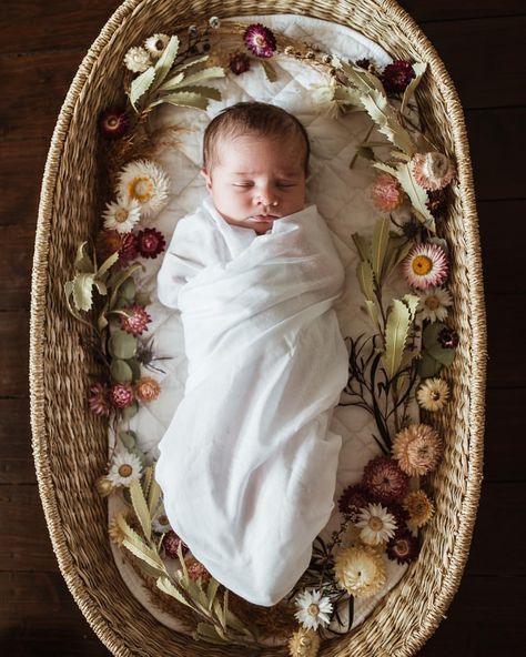 Newborn Basket, Diy Newborn Photography, Baby Christmas Photos, Baby Announcement Pictures, Newborn Flower, Monthly Baby Photos, Baby Pictures Newborn, Baby Announcement Photos