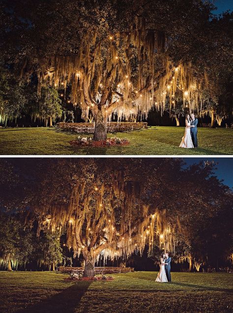 Bayou Wedding, Louisiana Wedding Venues, Tiana Wedding, Slidell Louisiana, Night Time Wedding, Louisiana Wedding, Romantic Outdoor Wedding, Outdoor Wedding Photography, The Bayou