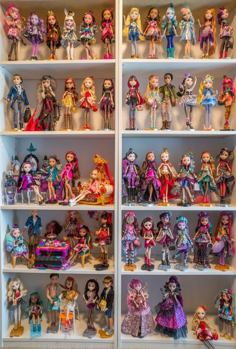 My Ever After High Collection as of 6/17/15 Monster High Display, Enchanted Picnic, Monster High Collection, Ever After High Dolls, Lego Head, Ever After Dolls, Doll Storage, Nostalgic Toys, Doll Display