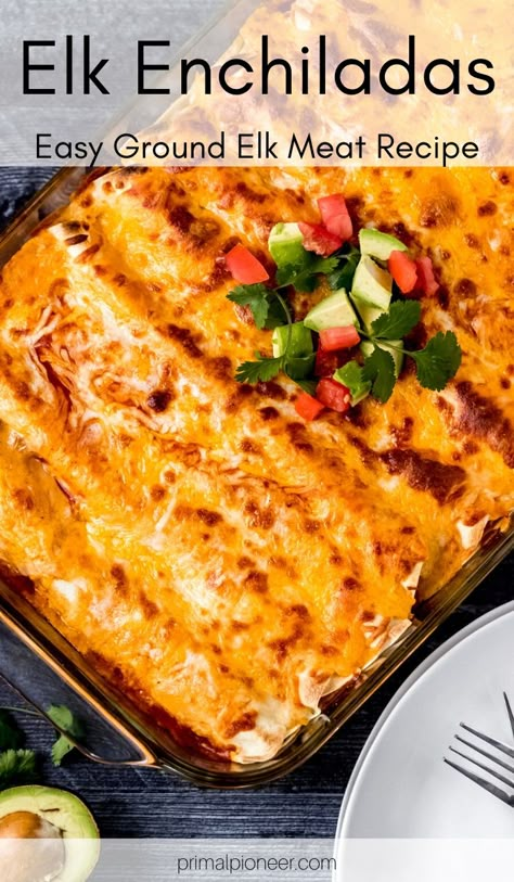 Elk Enchiladas, Ground Elk Recipes, Antelope Recipes, Elk Meat Recipes, Wild Game Dinner, Elk Meat, Elk Recipes, Deer Recipes, Ground Venison