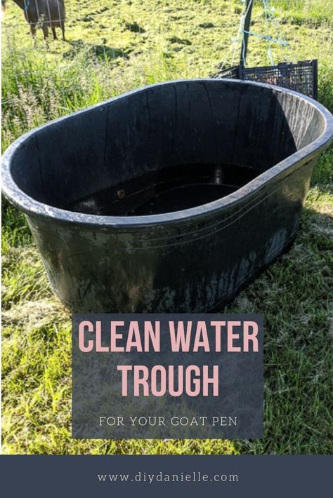 How to Keep a Water Trough Clean for Livestock - Fantastic idea for the goat pen to ensure they have clean water!  #goatpenideas #goats Horse Water Trough, Duck Waterer, Livestock Water Trough, Horse Trough, Goat Shelter, Goat Pen, Horse Water, Raising Farm Animals, Pond Cleaning