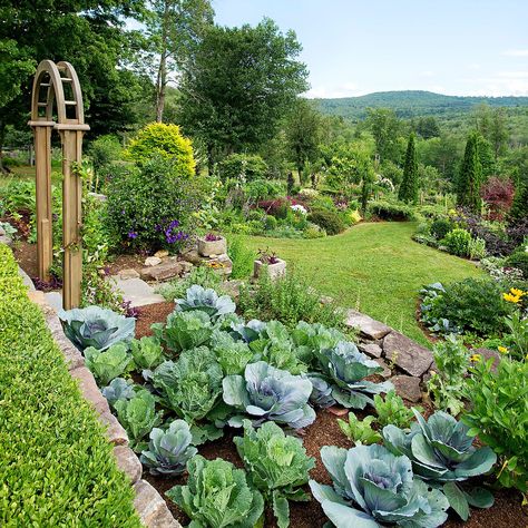 Front Yard Veggie Garden, Joanna Gaines Garden, Plantarea Legumelor, Front Yard Garden Ideas, Window Greenhouse, Serenity Garden, Berry Garden, Edible Landscape, Yard Garden Ideas