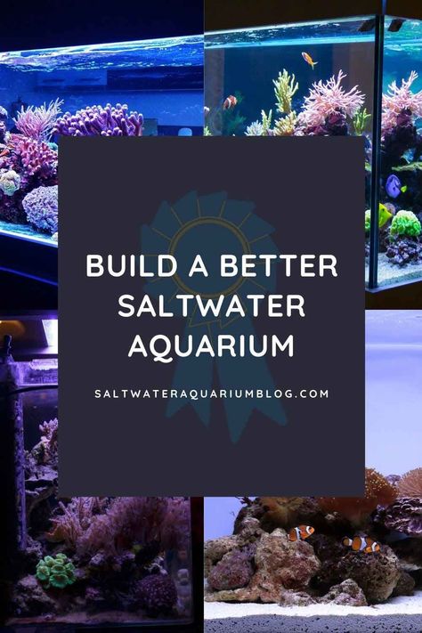 Build a better saltwater aquarium with SaltwaterAquariumBlog.com. Helping reef tank owners care for aquarium fish, corals, invertebrates and buy the equipment since 2009 Coral Reef Tank, Reef Tank Aquascaping, Aquarium Tips, Saltwater Aquarium Fish, Fish Garden, Fish Bowls, Underwater Plants, Nano Aquarium, Aquascape Aquarium