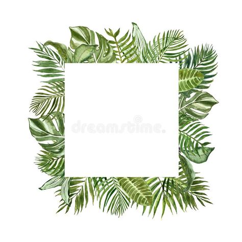 Tropical green foliage square frame for cards, banners. Watercolor summer exotic , #ad, #cards, #frame, #Watercolor, #banners, #green #ad Garden Invitation, Leaves Border, Tropical Frames, Frame Watercolor, Empty Frames, Leaf Border, Art Logo Design, Tropical Green, White Background Photo