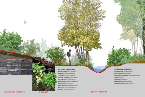 Basalt River Restoration Ecological Preservation Planning River Restoration Projects, River Restoration, Ecological Restoration, Masterplan Architecture, Landscape Diagram, Playgrounds Architecture, Landscape Architecture Diagram, Water Architecture, Urban Design Diagram