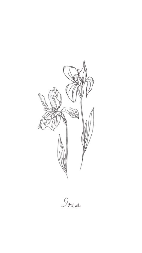 White Iris Tattoo, Daffodil And Iris Tattoo, Iris Birth Flower Tattoo, Fine Line Iris Tattoo, Iris Flower Wallpaper, Simple Iris Tattoo, Iris Flowers Drawing, Iris Tattoo Design, Iris Wallpaper