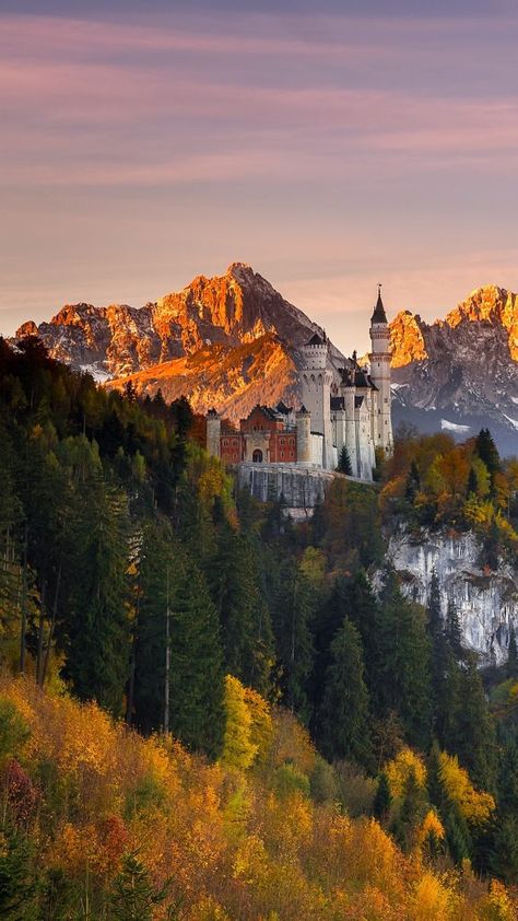 Guardian of Schwangau, Neuschwanstein Castle in southern Bavaria, Germany | Windows Spotlight Images Castle Bavaria, China City, Winter Window, Ancient Animals, Neuschwanstein Castle, Valley View, Bavaria Germany, Bavaria, Aerial View