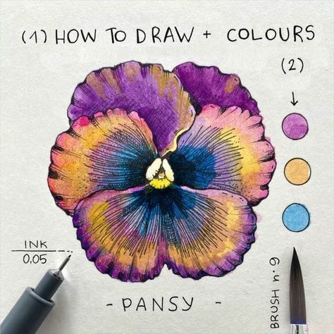 Watercolor Pencil Art, Botanical Line Drawing, Flower Drawing Tutorials, Flower Art Drawing, Caran D'ache, Floral Drawing, Watercolor Flower Art, Watercolor Art Lessons, Botanical Watercolor