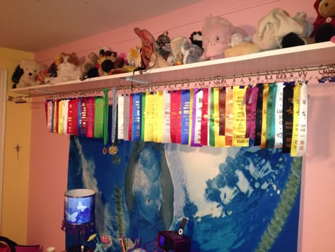 Swimming ribbon display idea... Those hooks might get costly but the curtain rod is a great idea Ribbon Display Ideas, Award Ribbon Display, Horse Ribbon Display, Swim Ribbons, Horse Ribbons, Trophy Shelf, Running Medal, Ribbon Display, Trophy Display