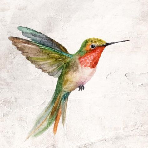 'Flit 1' Art Print - Kimberly Allen | Art.com Whimsical Hummingbird Art, Painting A Hummingbird, Humming Bird Painting Acrylics, Hummingbird Art Painting, Hummingbird Paintings, Bird Pants, Watercolor Hummingbirds, Hummingbird Artwork, Hummingbird Tattoos