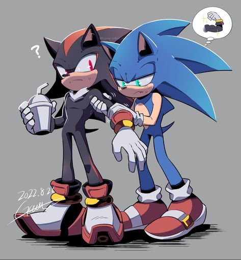 Sonic X Shadow Fanart, Shadow Sonic, Sonic & Knuckles, Sonic Funny, Sonic Fan Characters, Sonic Franchise, Blue Hedgehog, Sonic 3, Sonic Adventure