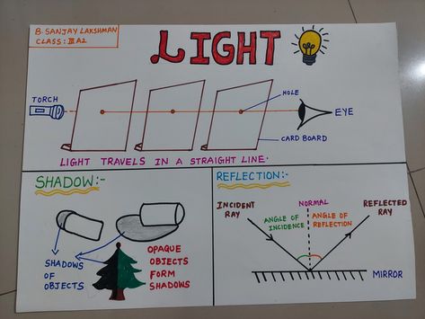 Light Travels In A Straight Line, Reflection Of Light Science, Physical Science Projects, Shadow Lessons, 4th Grade Science Projects, Water Cycle For Kids, Science Light, Sources Of Light, Mirrors And Lenses