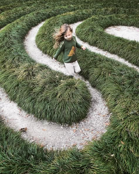 Leaping from the Nest Backyard Maze, Backyard Garden Landscaping, Sensory Gardens, Labyrinth Garden, Outdoor Learning Spaces, Healing Garden, Sensory Garden, Natural Playground, Community Garden