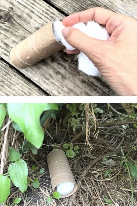 Easy Homemade Natural Tick Killer for your garden, lawn or backyard. Enjoy your outdoor space and protect your dog and yourself from backyard ticks. #gardendiy Tick Tubes, Wood Tick, Pothos In Water, Get Rid Of Ticks, Homemade Bug Spray, Bug Spray Recipe, Tick Spray, Ohio House, Tick Repellent