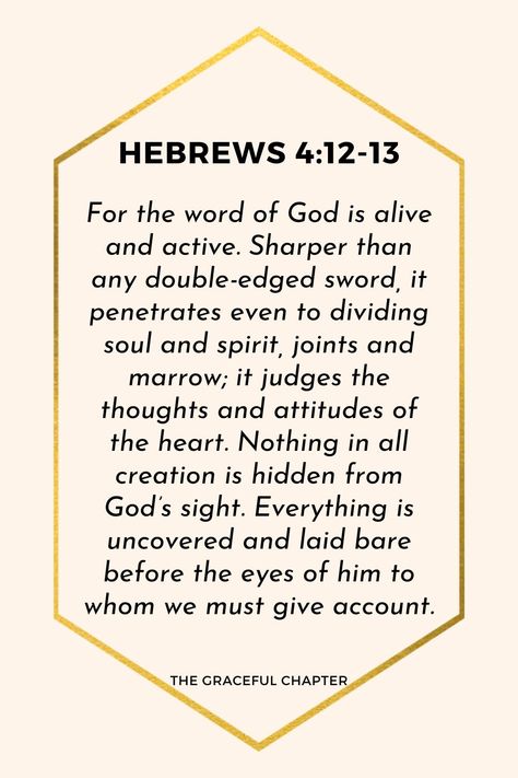 Let Your Gentleness Be Evident To All, Love The Lord With All Your Heart, Faith Aesthetic, Rejoice In The Lord Always, The Graceful Chapter, Bible Reflection, Rejoice In The Lord, Prayer For Love, Prayer Corner