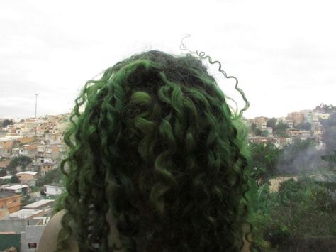 Green Highlights In Curly Hair, Green Ombre Curly Hair, Dyed Dark Curly Hair, Dark Green Hair Curly, Muddy Green Hair, Short Curly Green Hair, Green Curly Hair Natural Curls, Dark Green Curly Hair, Green Hair Curly