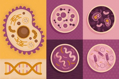 Cell Vectors, Photos and PSD files | Free Download Future Technology Concept, Science Equipment, Science Words, Biology Art, Animal Cell, Be Design, Science Illustration, Human Body Parts, Technology Background