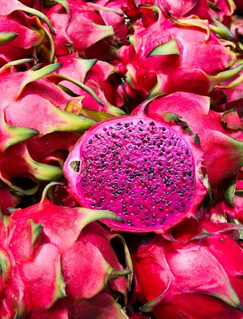 Chăm sóc da trước thềm concert BLACKPINK nhờ thanh long đỏ Dragon Fruit Benefits, Dragon Fruit Plant, Red Dragon Fruit, Low Calorie Fruits, Thanh Long, Coffea Arabica, Fruit Ice Cream, Sources Of Vitamin A, Ice Cream At Home