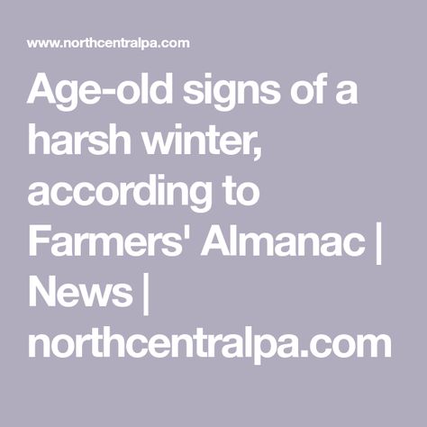 Farmers Almanac 2024, Weather Folklore, Garden Winter Prep, Woolly Bear, Garden Winter, Hornets Nest, Weather Predictions, Farmers Almanac, Harsh Winter