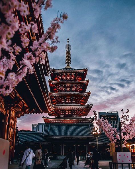 Japan Photos - 日本の写真 na Instagramu: "Sensō-ji Temple is an ancient Buddhist temple located in Asakusa, Tokyo. It's Tokyo's oldest temple.⁣⁣⁣ ⁣ What do you like the most about…" Japan Moodboard, Tokyo Picture, Tokyo Architecture, Japan Pics, Tokyo Temple, Kyoto Temple, Japan Tourist, Tokyo Aesthetic, Asakusa Tokyo