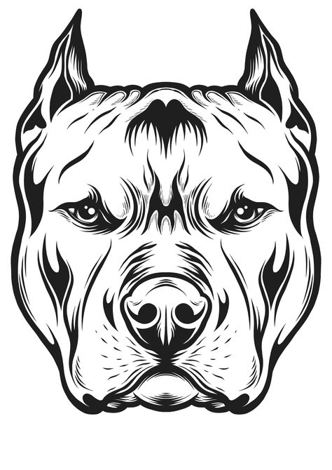 Pitbull Head Tattoo, Pitbull Face Drawing, Pitbull Dog Drawing, Pitbull Tattoo Design, Pit Bull Drawing, Pitbull Drawing, Dog Caricature, Tupac Art, Pitbull Tattoo