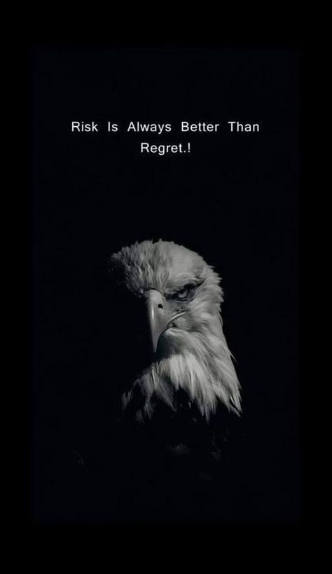 Attitude Quotes In Tamil, Attitude Sketch, Hawk Quotes, Risk Is Better Than Regret, Eagle Quotes, Creepy Clown Pictures, Risk Quotes, Millionaire Mindset Quotes, Peaky Blinders Quotes