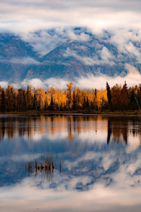 Discover the mesmerizing beauty of The Knik River, Alaska. Crystal-clear waters and breathtaking landscapes await! 🌊 Click the link to explore more. #Wanderlust #NatureLovers Alaska Landscape, Nature Wallpapers, Mesmerizing Beauty, Breathtaking Landscapes, Crystal Clear Water, Nature Wallpaper, Click The Link, Crystal Clear, Alaska