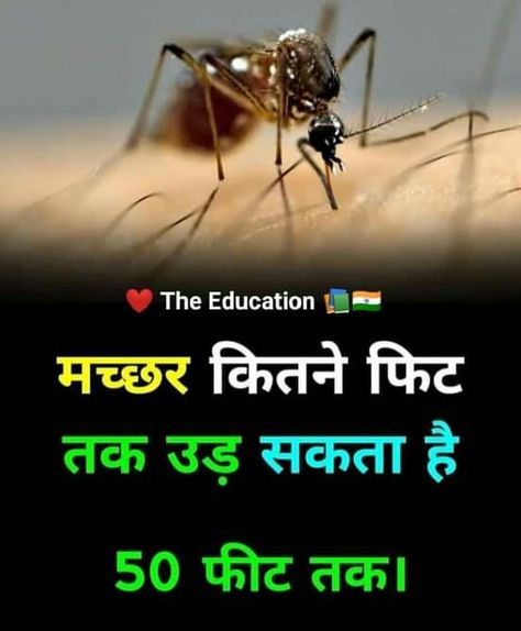 Youtube Facts, Interesting Facts In Hindi, Fun Facts About Life, Interesting Science Facts, Biology Facts, Gk Questions And Answers, Interesting Facts About World, Cool Science Facts, Amazing Funny Facts