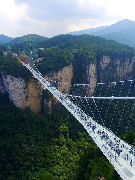 Glass Bridge China, Weird Trees, Glass Bridge, Zhangjiajie, River Bridge, Travel Inspiration Destinations, Pedestrian Bridge, Suspension Bridge, Travel List