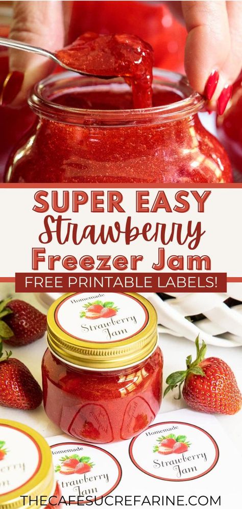 Try this Super Easy Strawberry Freezer Jam today! It’s incredibly simple to make and the perfect recipe for all the strawberries you’ll pick in strawberry season. You cannot fail at this easy jam and the result is so delicious! I also have some free printable labels for gift-giving too, so give this recipe a try! Easy Strawberry Freezer Jam, Strawberry Jelly Recipes, Making Strawberry Jam, Easy Strawberry Jam, Strawberry Freezer Jam, Easy Jam, Freezer Jam Recipes, Easy Canning, Jam Label