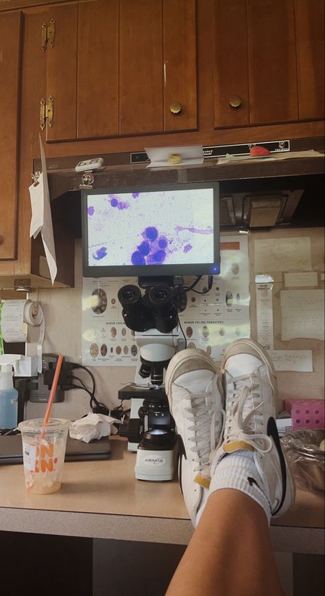 nike high tops propped up on a table with a microscope showing a screen of cells with a dunkin’ donuts iced coffee on the table Aesthetic Science Pictures, Virologist Aesthetic, Science Geek Aesthetic, Vision Board Science, Immunologist Aesthetic, Science Career Aesthetic, Science Olympiad Aesthetic, Bioscience Aesthetic, Stem Vision Board